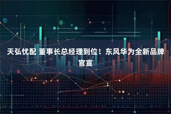 天弘忧配 董事长总经理到位！东风华为全新品牌官宣