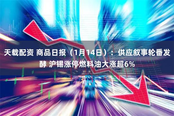 天载配资 商品日报（1月14日）：供应叙事轮番发酵 沪锡涨停燃料油大涨超6%