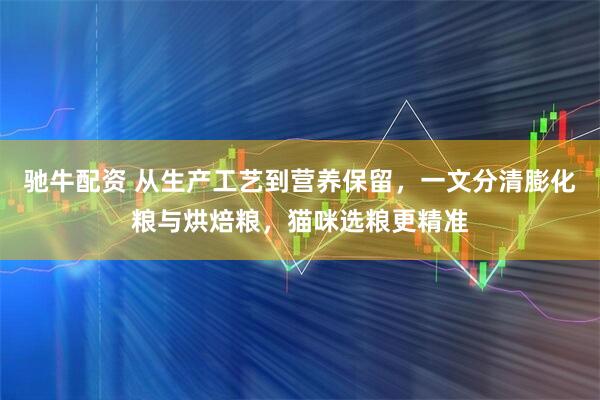 驰牛配资 从生产工艺到营养保留，一文分清膨化粮与烘焙粮，猫咪选粮更精准