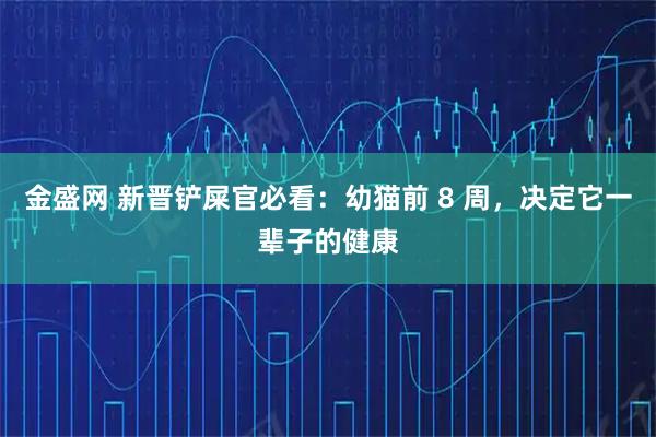 金盛网 新晋铲屎官必看：幼猫前 8 周，决定它一辈子的健康