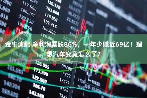 金牛速配 净利润暴跌86%，一年少赚近69亿！理想汽车究竟怎么了？
