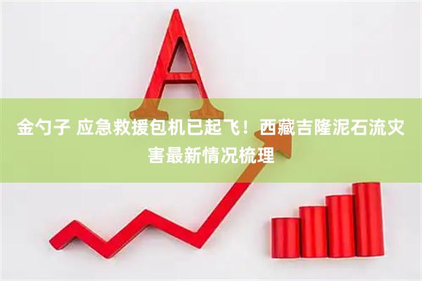 金勺子 应急救援包机已起飞！西藏吉隆泥石流灾害最新情况梳理